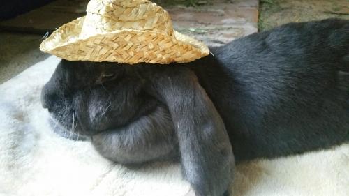 03:19:30 GMT-0600 (CST)