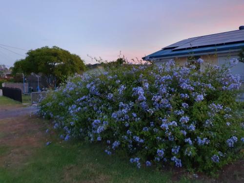 16:17:52 GMT+0100 (WAT)