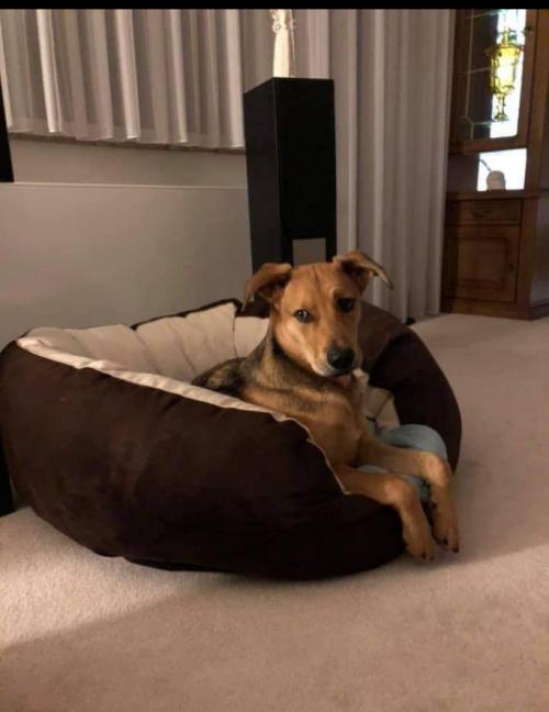 08:18:27 GMT+0100 (WAT)