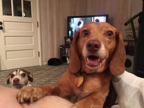 18:53:50 GMT-0600 (CST).image