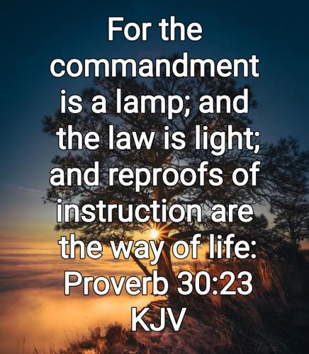 03:54:45 GMT-0800 (PST)