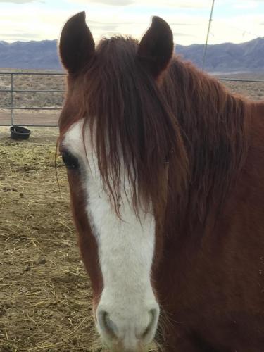 07:54:38 GMT-0800 (PST).image