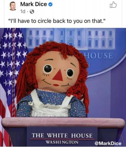 144312659_236556191403603_1637861838495559751_n