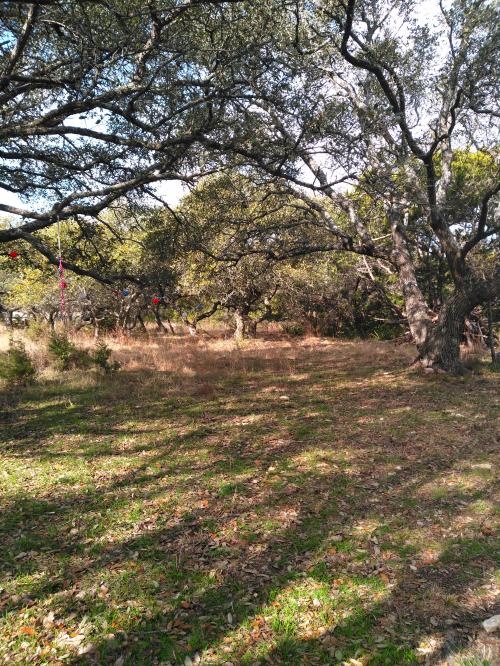 01:35:17 GMT-0600 (CST)