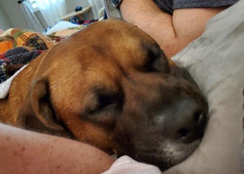 01:37:45 GMT-0500 (EST)