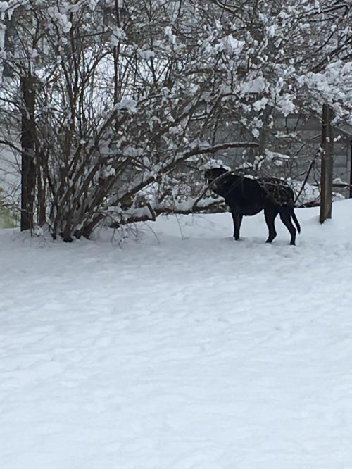 10:10:57 GMT-0500 (EST).image