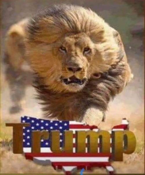 12:03:08 GMT-0500 (EST)