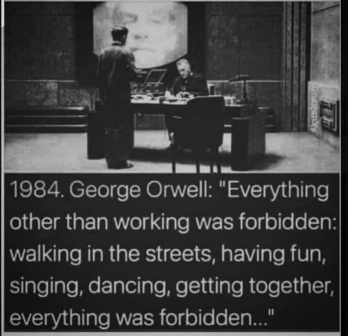 137363225_984417168632037_2499635842738142856_n