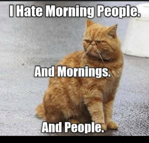 22:16:27 GMT-0800 (PST).image