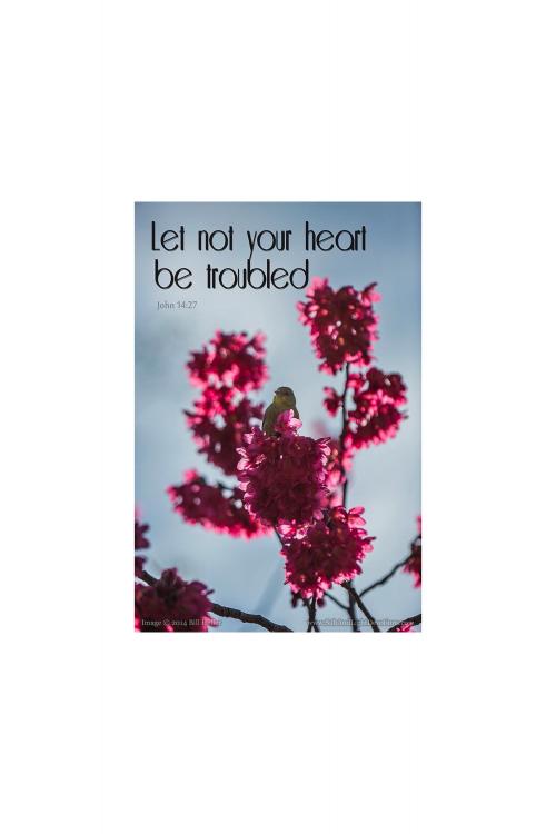 09:37:50 GMT-0800 (PST).image