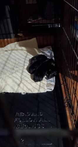 21:04:23 GMT-0800 (PST)