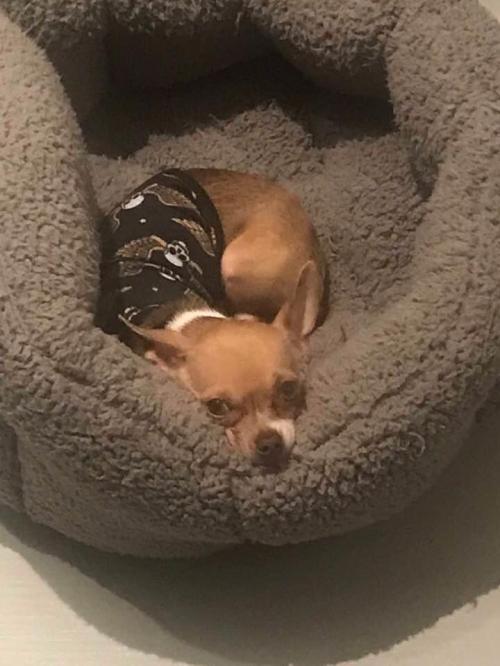 06:20:02 GMT+0100 (WAT).image