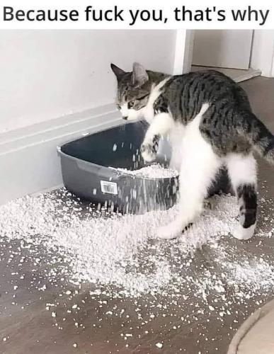 21:39:11 GMT-0800 (PST).image