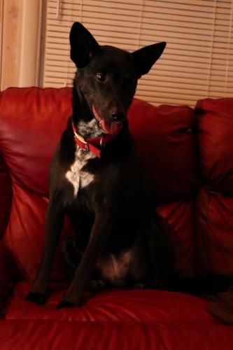 10:10:28 GMT-0600 (CST).image