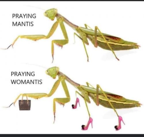 01:01:06 GMT-0500 (EST)