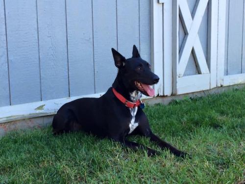 10:20:55 GMT-0600 (CST).image