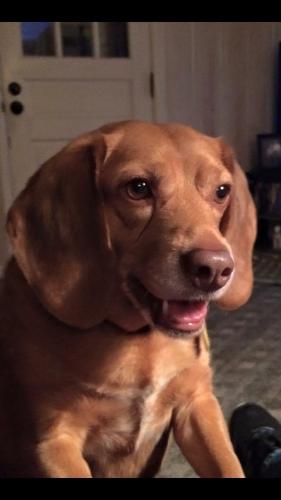 19:21:34 GMT-0600 (CST).image