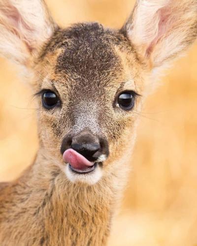 141565995_1782107428622128_4352215962361168814_o