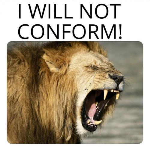 12:21:05 GMT-0600 (CST)