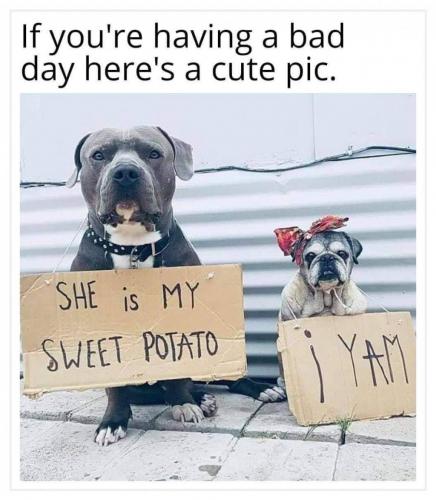 10:27:32 GMT-0500 (EST)