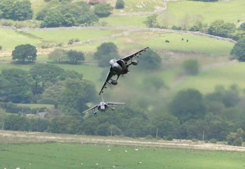 137042393_3657015934384600_130055507689792684_n