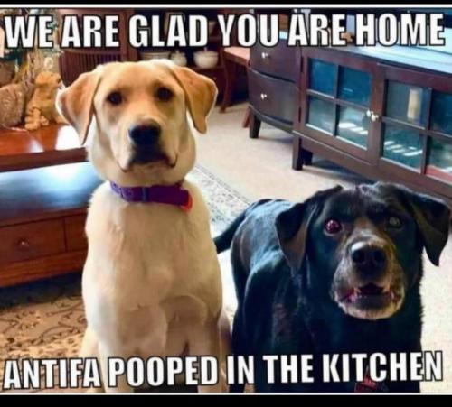 06:54:31 GMT-0600 (CST)