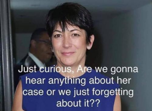 pizzagate46