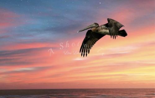 D8FF2D7F-557C-4325-A05C-C3E0CAC26619