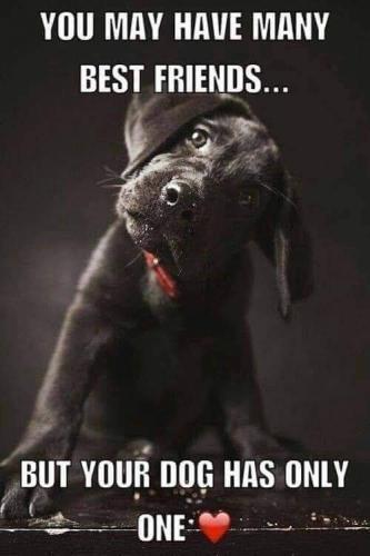 08:34:34 GMT-0500 (EST)