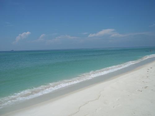 21:00:06 GMT-0600 (CST).image