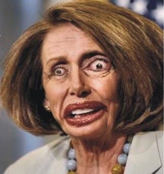 bf8845c3a9a6ed7b1725b58433415d6f--liberal-politics-stupid-liberals