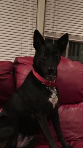 10:15:39 GMT-0600 (CST).image