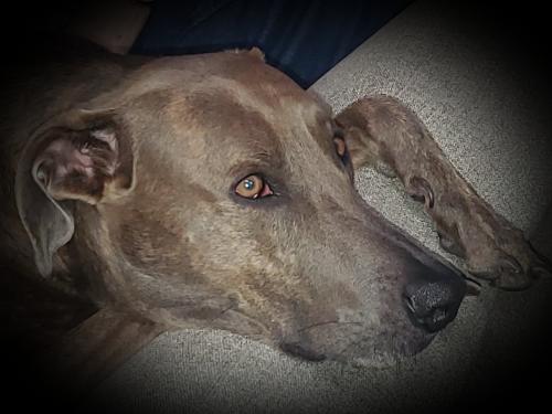 21:19:18 GMT-0600 (CST)