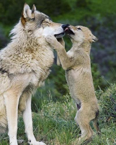 133998032_226684099025624_1165769494656686027_o