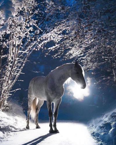 144729742_1788298521336352_3907183242960717510_o