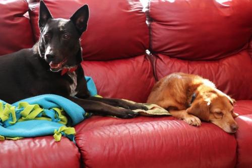 10:04:03 GMT-0600 (CST).image