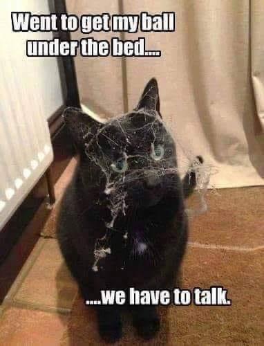 21:21:35 GMT-0800 (PST).image