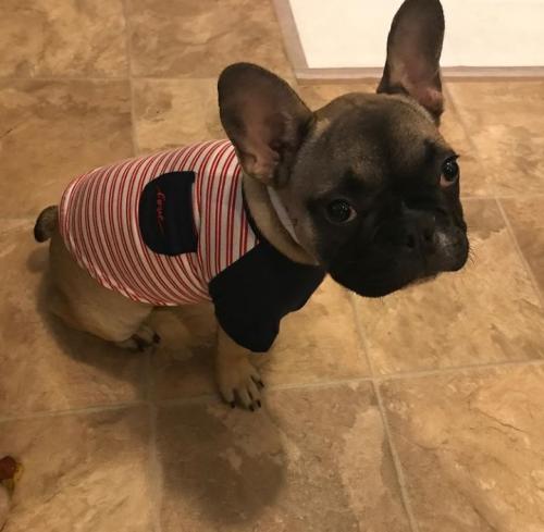 13:16:40 GMT-0800 (PST)