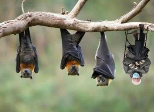 13:10:36 GMT-0500 (EST).image