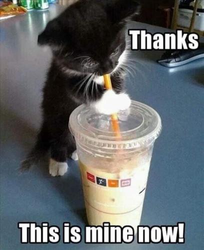 14:50:38 GMT-0500 (EST)