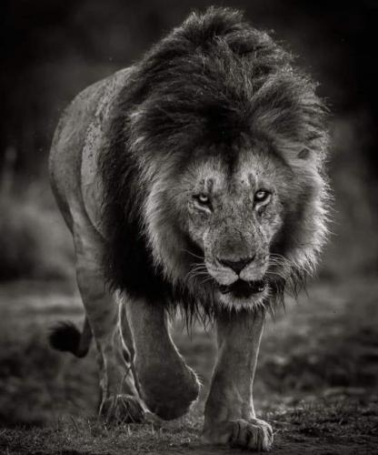 tumblr_3235fb34ccd0d50b8f52304a643bc6cb_dd325627_540