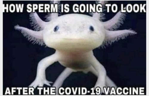 09:18:47 GMT-0600 (CST).image