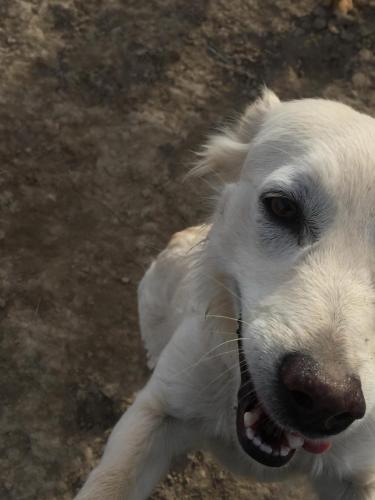 08:22:54 GMT-0800 (PST).image