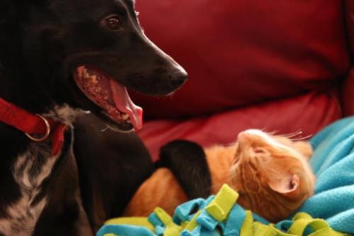 10:01:40 GMT-0600 (CST).image