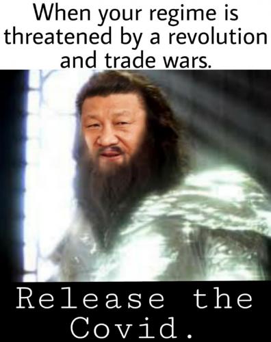 inbound4555606917611923337