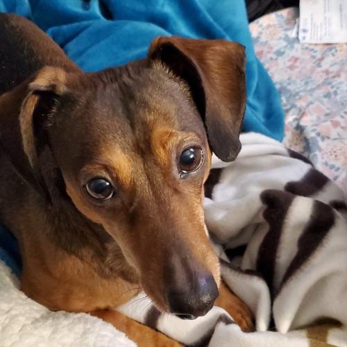 17:06:55 GMT-0500 (EST)