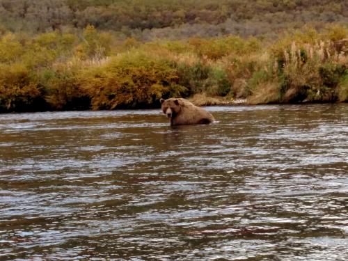 IMG_20160904_153644675