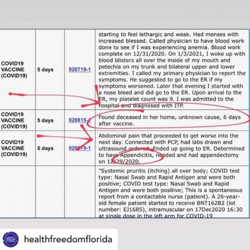 FB_IMG_1611989494156