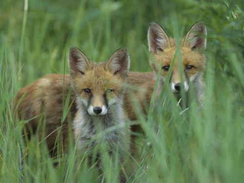 137093972_1491178821081463_1388909724047503381_n