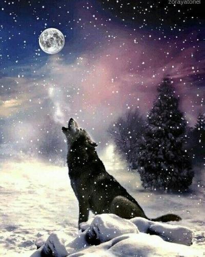 19:20:20 GMT-0600 (CST)